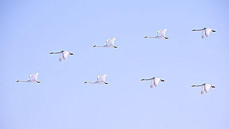 史上最贵！T2 127亿美元收购手游巨头Zynga